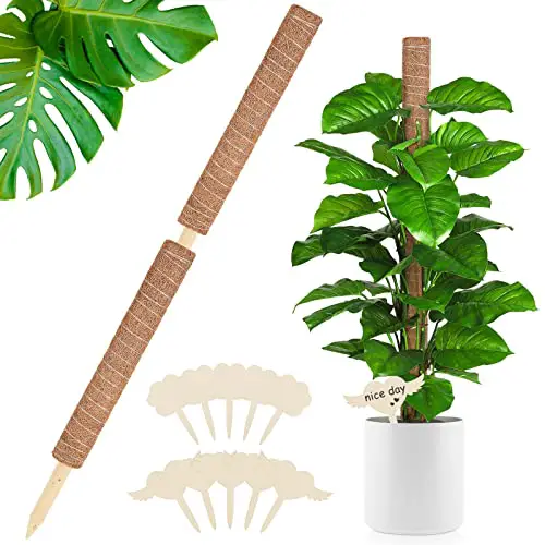 57cm 2 Stück Moosstab Monstera Rankhilfe mit 10 Holzetiketten für Pflanzenname Pflanzzeit Kokosstab Moosstab für Zimmerpflanzen aus Kokosfaser Pflanzenstab zur Dekoration Verlängerbar 100CM